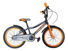 BICICLETA FIRE BIRD ACERO ROCKY R20 en internet