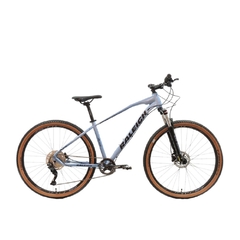 BICICLETA MTB MOJAVE RALEIGH 5.5 R29