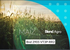 Semilla de Maiz BLEND AGRO 2905 VT TRIPL PRO RR2