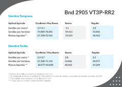 Semilla de Maiz BLEND AGRO 2905 VT TRIPL PRO RR2 - Risso de Bavio