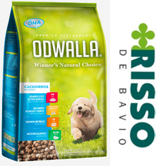 ODWALLA Cachorro