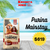 Purina Mainstay Adulto