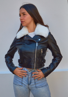 Campera AMERICA