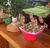 Pet Festas