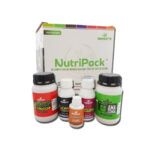 NAMASTE NUTRI PACK X5 - comprar online