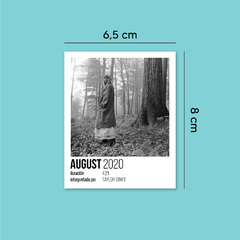 Polaroid August | Taylor Swift