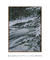 Quadro Decorativo Frosty Currents