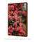 Quadro Decorativo Natureza Perfeita - comprar online