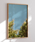 Quadro Decorativo North Moon