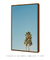 Quadro Decorativo Palm Tree Details - comprar online