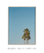 Quadro Decorativo Palm Tree Details - loja online