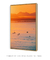 Quadro Decorativo San Diego Morning Boats II - comprar online