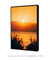 Quadro Decorativo San Diego Sunrise na internet