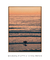 Quadro Decorativo San Diego Sunset - comprar online