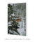 Quadro Decorativo Snow Cabin II - loja online