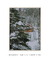 Quadro Decorativo Snow Cabin II - loja online