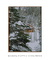 Quadro Decorativo Snow Cabin II