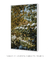 Quadro Decorativo Snow is Here - loja online