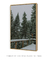 Imagem do Quadro Decorativo Snowy Pines I