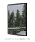 Quadro Decorativo Snowy Pines I - comprar online