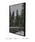 Quadro Decorativo Snowy Pines I - Rovie