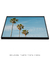 Quadro Decorativo Tropical Feelings - Rovie