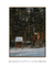 Quadro Decorativo Winter Hideway