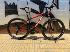 PRO LION KING29er