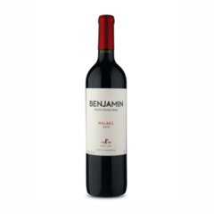 Nieto Senetiner Benjamin Malbec