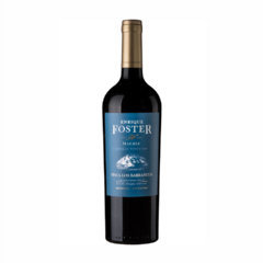 Enrique Foster Finca Los Barrancos Malbec