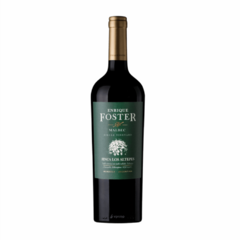 Enrique Foster Finca Los Altepes Malbec