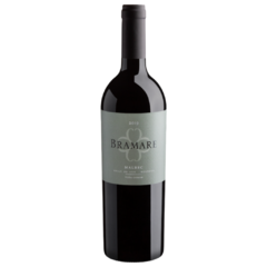 Cobos Bramare Valle de Uco Malbec