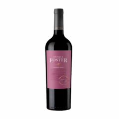 Enrique Foster Finca Los Altepes Cabernet Franc