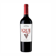 Enrique Foster Ique Malbec