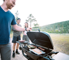 ASADOR PARA TIRON - comprar en línea