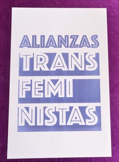 Paquete de carteles Transfeministas en internet