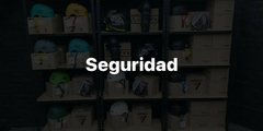 Banner de la categoría Seguridad