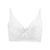 Sutiã sexy plus size, bralette crop sem alça, lingerie em renda - loja online