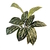 Planta artificial Ludisia con maceta 40 cm. - comprar online