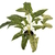 Planta artificial Singonio con maceta 47 cm. - Wall it! | Decoración verde | Revestimientos autoadhesivos