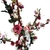 Imagen de Arbol de rosas 190x190cm. + maceta 31x58cm.
