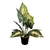 Planta artificial Siempreverde con maceta 40 cm. en internet