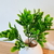 Ramo de planta artificial Buxus 28 cm.﻿﻿﻿﻿﻿ - comprar online