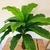 Planta artificial Anthurium 85 cm. - comprar online