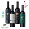 119 - EXPERIENCIA GRANDS SPOSATO - KIT 4 BOTELLAS