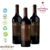 126 - VINO ORGANICO AMERI - ALTA GAMA - DOMAIN BUSQUET - KITX 3 - 2 BLEND + 1 MALBEC