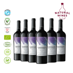 130 - CAMINANTE DE LOS MUNDOS MALBEC CAJA 6 BOTELLAS