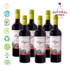 134 - MALBEC VIRGEN NATURAL DOMAINE BUSQUET CAJA 6 BOTELLAS