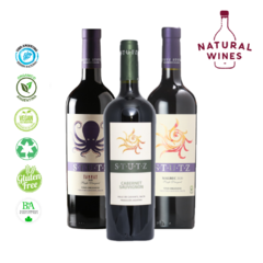 104 - EXPERIENCIA STUTZ - MALBEC - C SAV - TANNAT