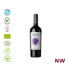 128 - CAMINANTE DE LOS MUNDOS CABERNET FRANC CAJA 6 BOTELLAS - comprar online